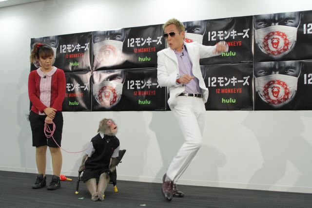 じゅんいちダビッドソン、猿に襲われる！フォトギャラリー（5枚目）