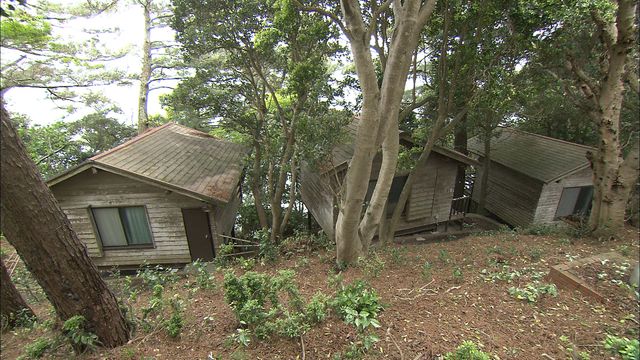 さだまさしの島をリフォーム！「大改造!!劇的ビフォーアフター　2時間スペシャル」フォトギャラリー（8枚目）