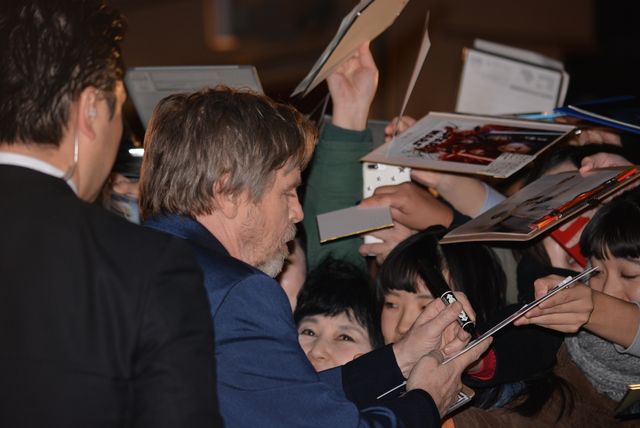 『スター・ウォーズ／最後のジェダイ』キャスト陣来日！レッドカーペットでファンサービス!!（7枚目）