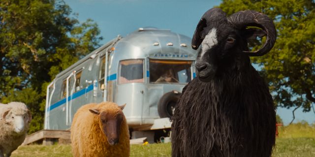 『ひつじ探偵団』場面写真＆メイキング（14枚目）