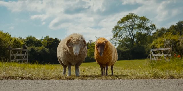 『ひつじ探偵団』場面写真＆メイキング（15枚目）