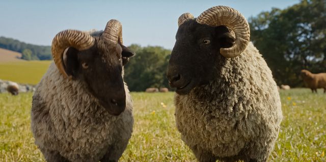 『ひつじ探偵団』場面写真＆メイキング（17枚目）