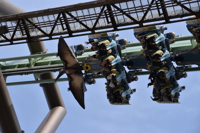 プテラノドンに背中をつかまれて飛行！USJ新アトラクション「ザ・フライング・ダイナソー」フォトギャラリー：フォトギャラリー