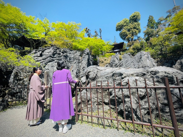 「光る君へ」道綱の母役・財前直見、石山寺訪問の様子（5枚目）