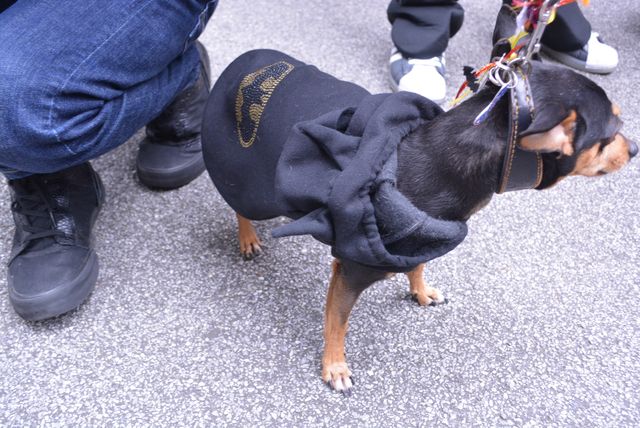 “千葉ットマン”、ハロウィンにゴミ拾い！街行く人たちも大興奮…フォトギャラリー（5枚目）