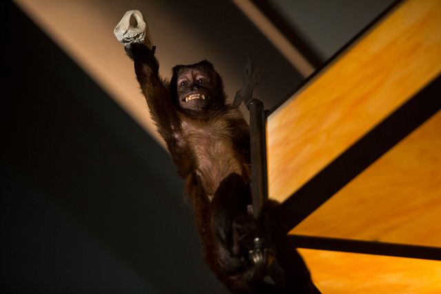 映画『ナイト　ミュージアム／エジプト王の秘密』で精彩を放つロビン・ウィリアムズさんと息の合った共演者！フォトギャラリー（7枚目）