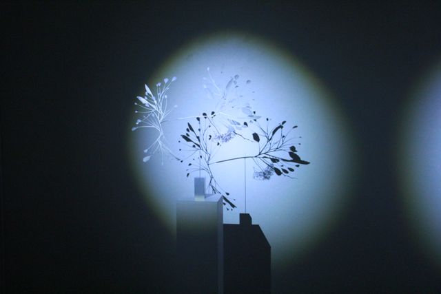 『魔法の美術館』内覧会フォトギャラリー（15枚目）