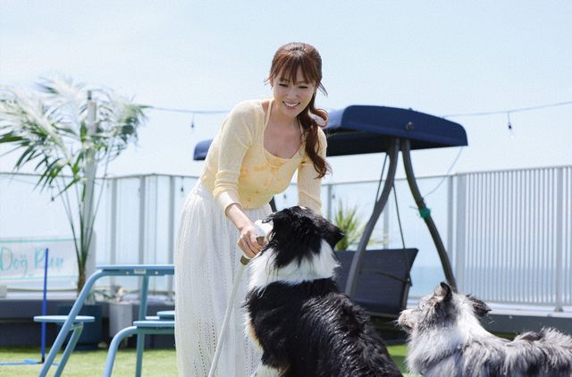 清原果耶＆成田凌が抜群の相性！「初恋DOGs」初回場面写真（3枚目）