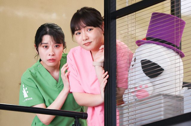 清原果耶＆成田凌が抜群の相性！「初恋DOGs」初回場面写真（5枚目）