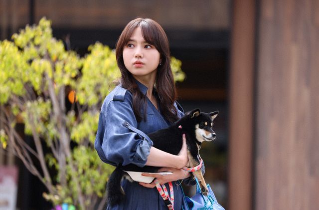 清原果耶＆成田凌が抜群の相性！「初恋DOGs」初回場面写真（12枚目）