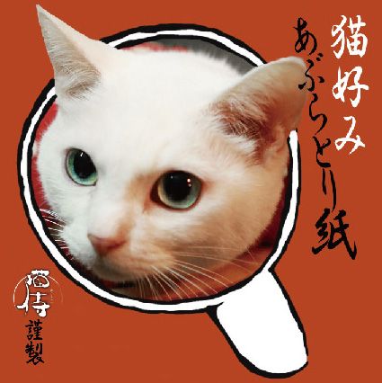 美ニャンコに癒やされまくる…『猫侍　南の島へ行く』フォトギャラリー（2枚目）