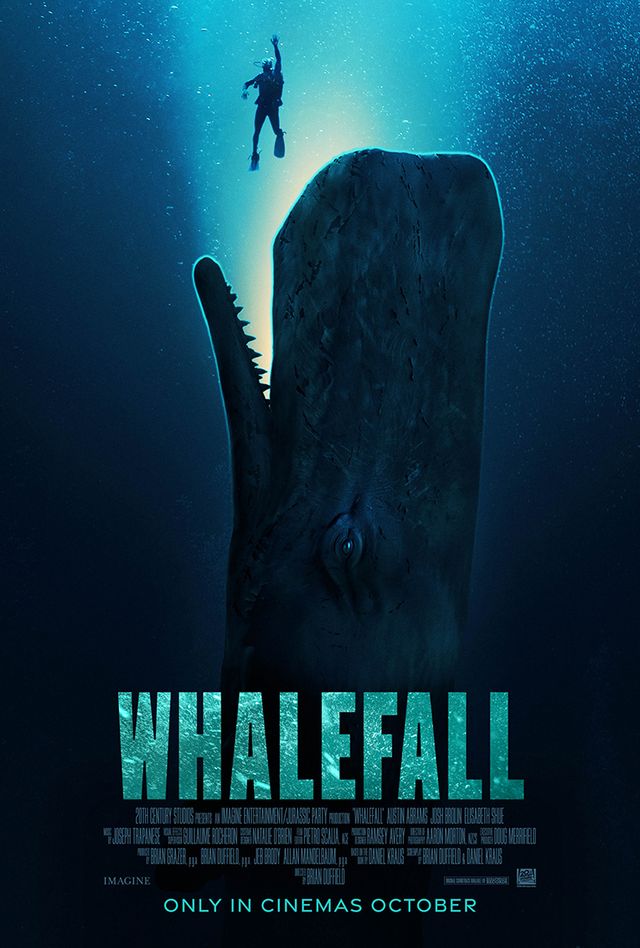 クジラが…きた!