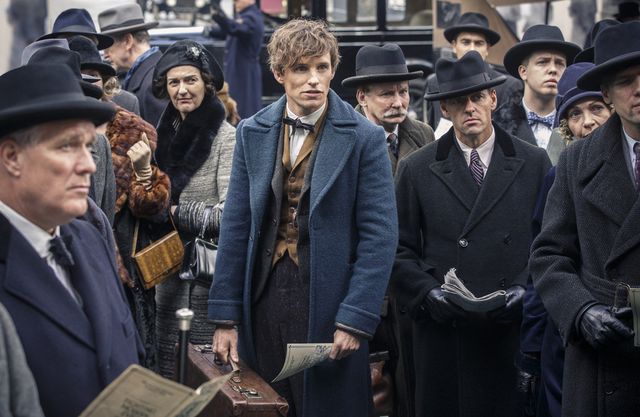 今夜金ローで放送！映画『ファンタスティック・ビーストと魔法使いの旅』（2016）場面カット（4枚目）