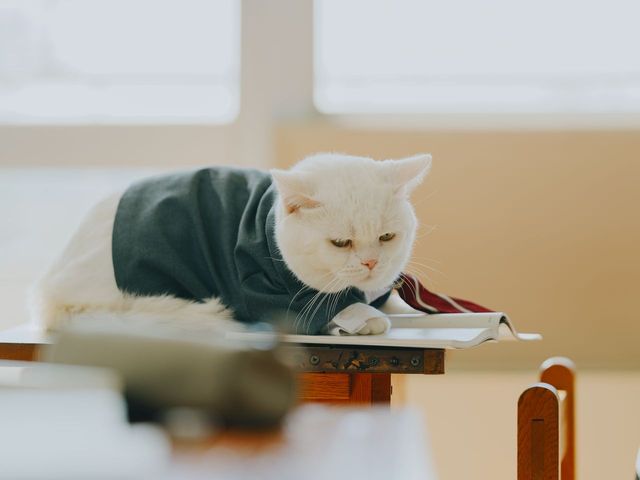 「祝入学！家谷家家族写真」香取慎吾主演『高校生家族』フォトギャラリー（5枚目）