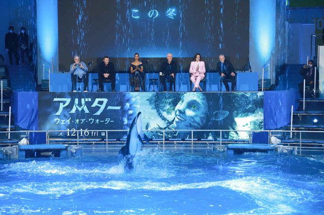 イルカたちが『アバター：ウェイ・オブ・ウォーター』キャストを歓迎！来日記者会見：フォトギャラリー