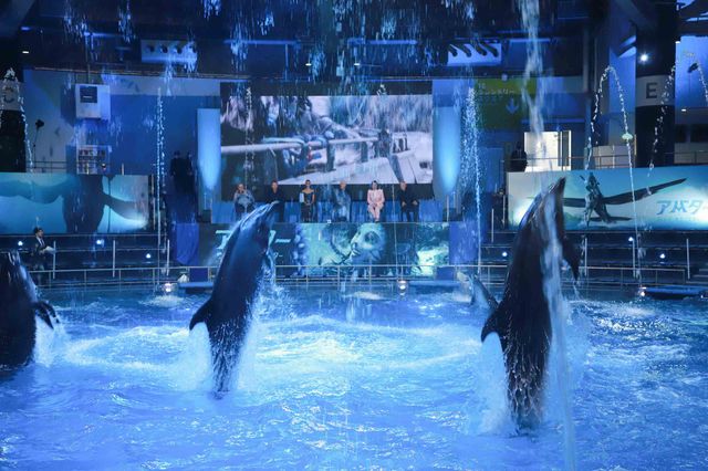 イルカたちが『アバター：ウェイ・オブ・ウォーター』キャストを歓迎！来日記者会見（2枚目）