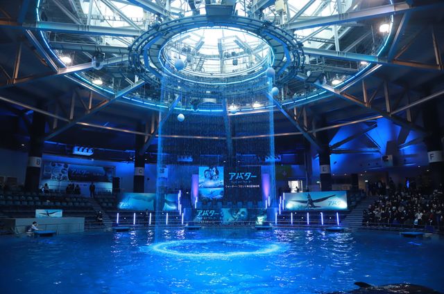 イルカたちが『アバター：ウェイ・オブ・ウォーター』キャストを歓迎！来日記者会見（5枚目）