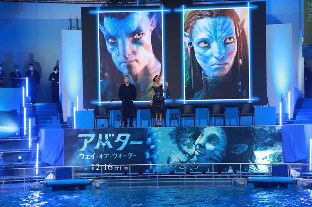 イルカたちが『アバター：ウェイ・オブ・ウォーター』キャストを歓迎！来日記者会見（6枚目）