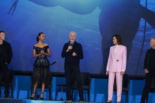 イルカたちが『アバター：ウェイ・オブ・ウォーター』キャストを歓迎！来日記者会見（10枚目）