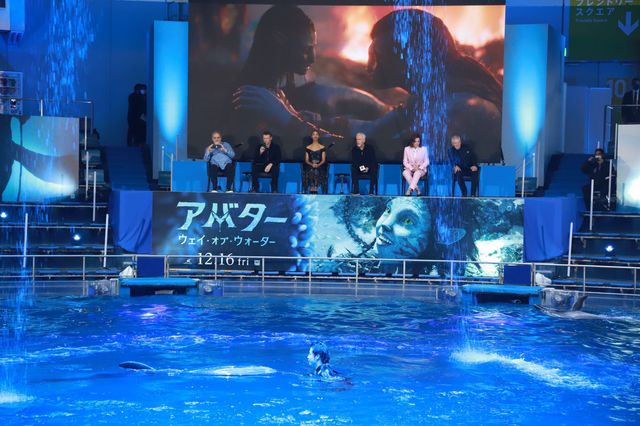 イルカたちが『アバター：ウェイ・オブ・ウォーター』キャストを歓迎！来日記者会見（12枚目）