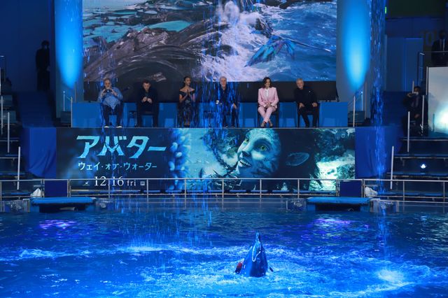 イルカたちが『アバター：ウェイ・オブ・ウォーター』キャストを歓迎！来日記者会見（13枚目）