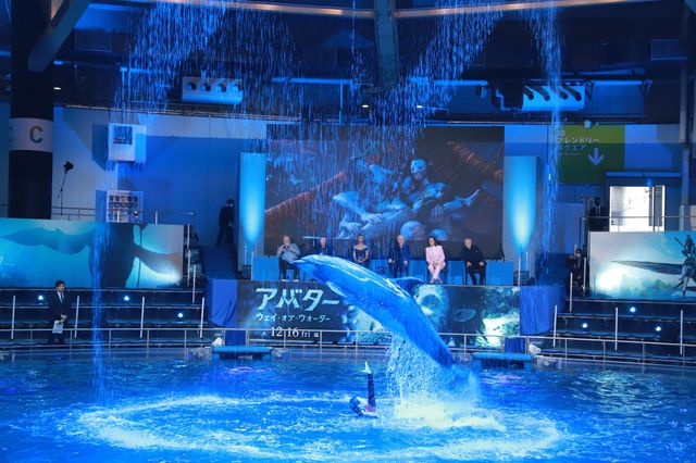 イルカたちが『アバター：ウェイ・オブ・ウォーター』キャストを歓迎！来日記者会見（14枚目）