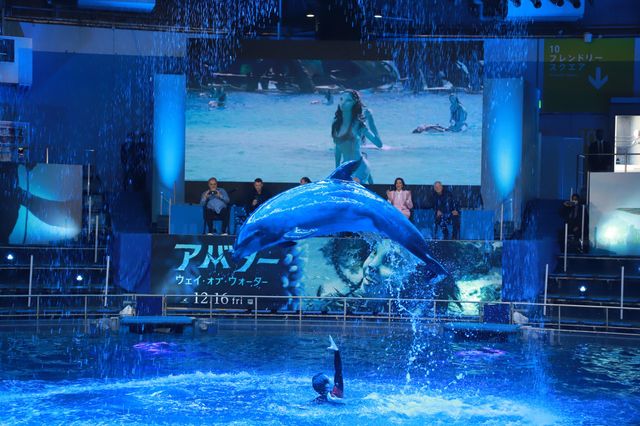 イルカたちが『アバター：ウェイ・オブ・ウォーター』キャストを歓迎！来日記者会見（15枚目）