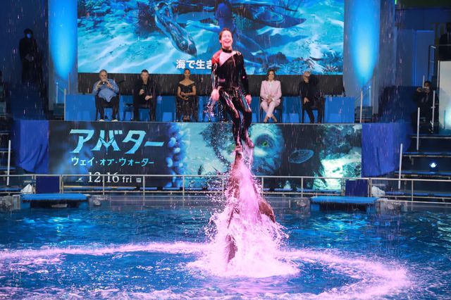 イルカたちが『アバター：ウェイ・オブ・ウォーター』キャストを歓迎！来日記者会見（17枚目）