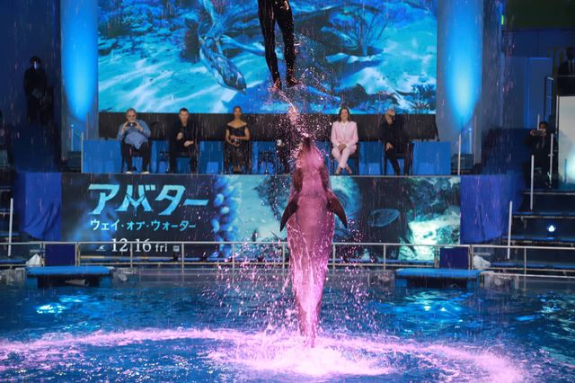 イルカたちが『アバター：ウェイ・オブ・ウォーター』キャストを歓迎！来日記者会見（18枚目）