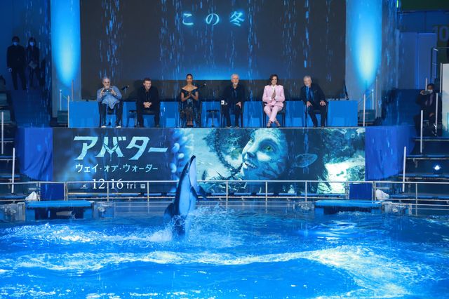 イルカたちが『アバター：ウェイ・オブ・ウォーター』キャストを歓迎！来日記者会見（19枚目）