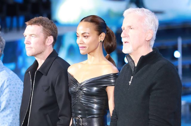 イルカたちが『アバター：ウェイ・オブ・ウォーター』キャストを歓迎！来日記者会見（20枚目）