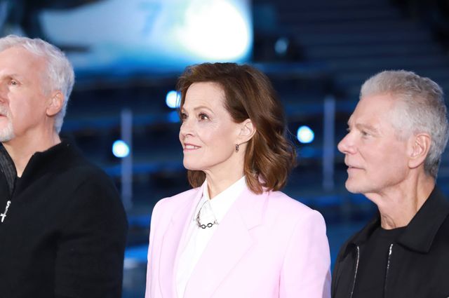 イルカたちが『アバター：ウェイ・オブ・ウォーター』キャストを歓迎！来日記者会見（22枚目）