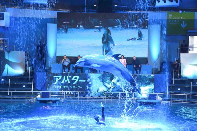 イルカたちが『アバター：ウェイ・オブ・ウォーター』キャストを歓迎！来日記者会見（29枚目）