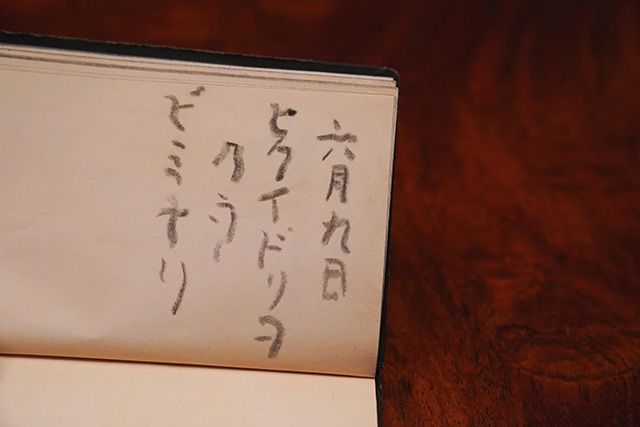 火喰鳥を、喰う