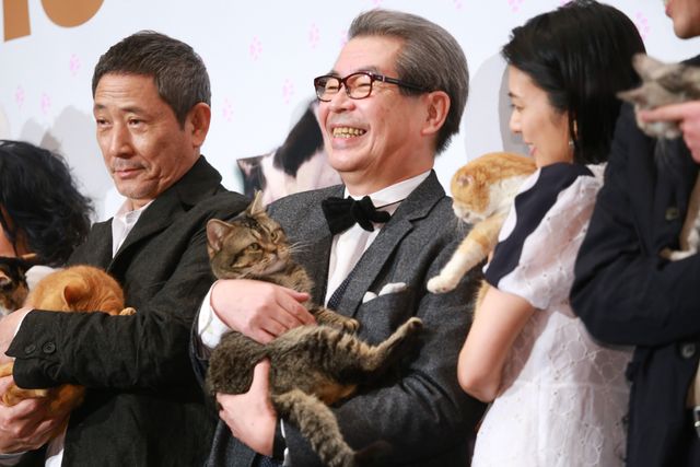 柴咲コウ、笑顔で猫を抱っこ！映画『ねことじいちゃん』初日舞台あいさつ（9枚目）