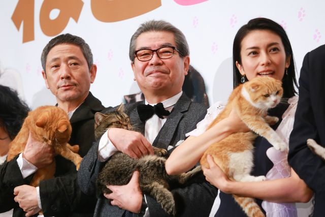 柴咲コウ、笑顔で猫を抱っこ！映画『ねことじいちゃん』初日舞台あいさつ（11枚目）