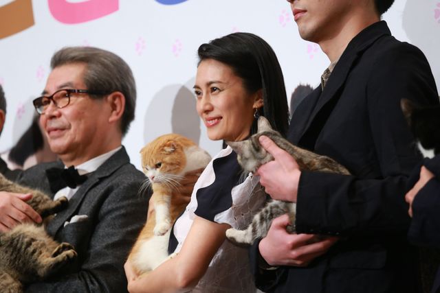 柴咲コウ、笑顔で猫を抱っこ！映画『ねことじいちゃん』初日舞台あいさつ（13枚目）