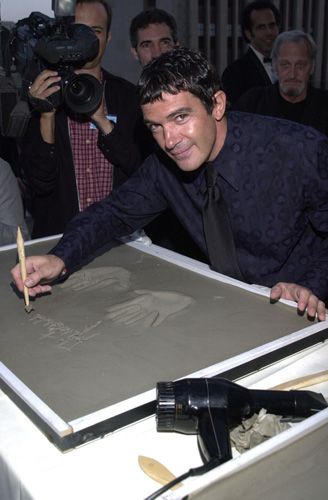 ステラ・アドラー記念日（2枚目）