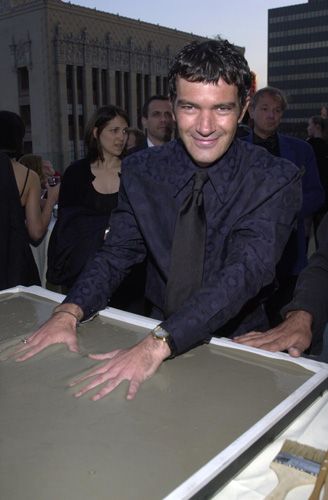 ステラ・アドラー記念日（3枚目）