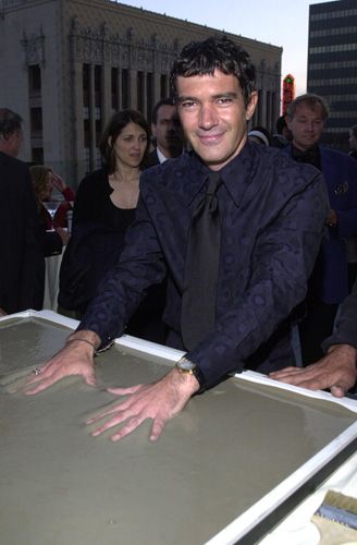 ステラ・アドラー記念日（4枚目）