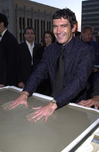 ステラ・アドラー記念日（6枚目）