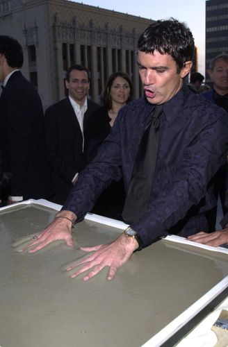 ステラ・アドラー記念日（7枚目）