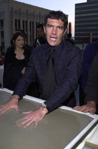 ステラ・アドラー記念日（8枚目）