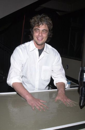 ステラ・アドラー記念日（17枚目）