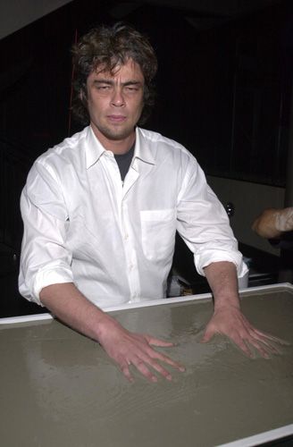 ステラ・アドラー記念日（19枚目）