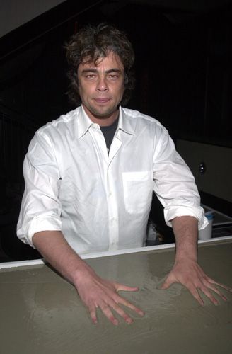 ステラ・アドラー記念日（21枚目）