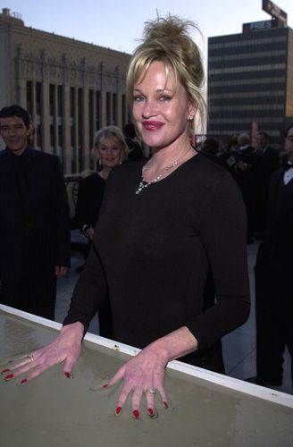 ステラ・アドラー記念日（41枚目）