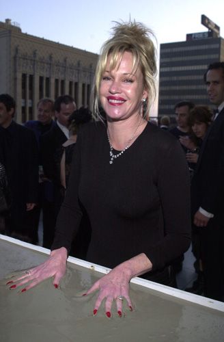 ステラ・アドラー記念日（42枚目）