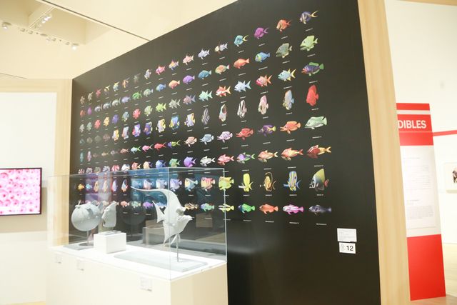 『トイ・ストーリー』『カーズ』『ファインディング・ニモ』の裏側！フォトギャラリー（9枚目）