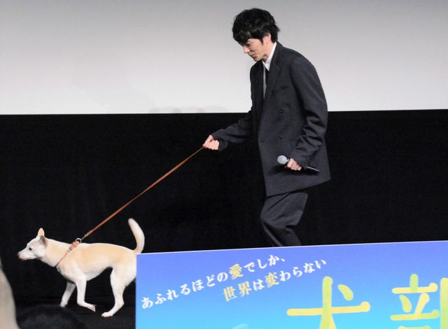 林遣都が“相棒犬”ちえと登壇！『犬部！』獣医学部学生ティーチインイベント（13枚目）